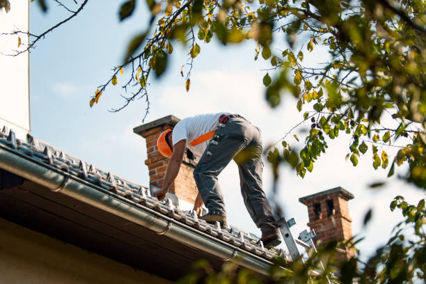 Best Roof Gutter Cleaning  in Stonebridge, NJ
